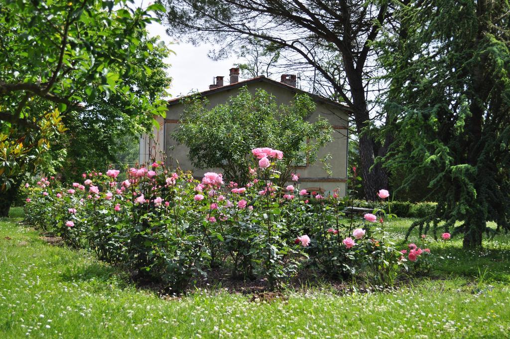 Domaine De Belcayre Bed and Breakfast Montauban Eksteriør billede